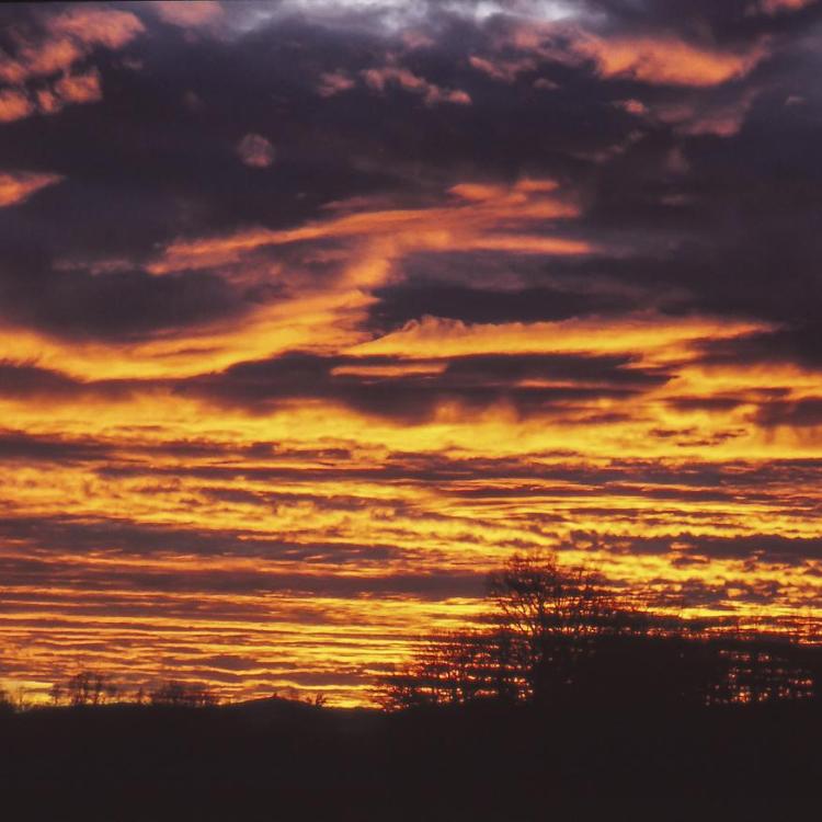 Morgenrot