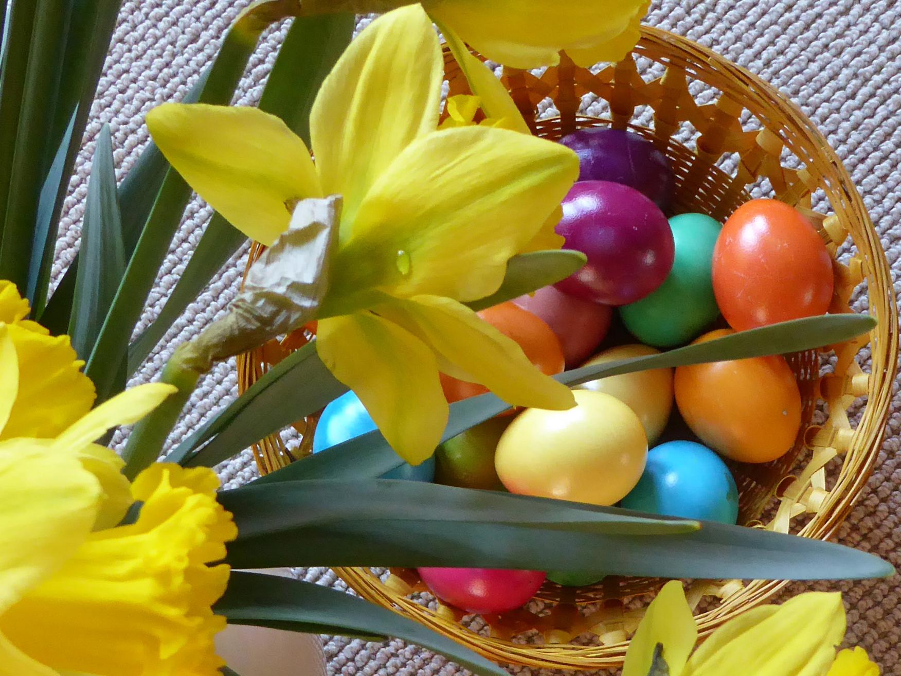 Osterbild Narzissen mit Ostereier