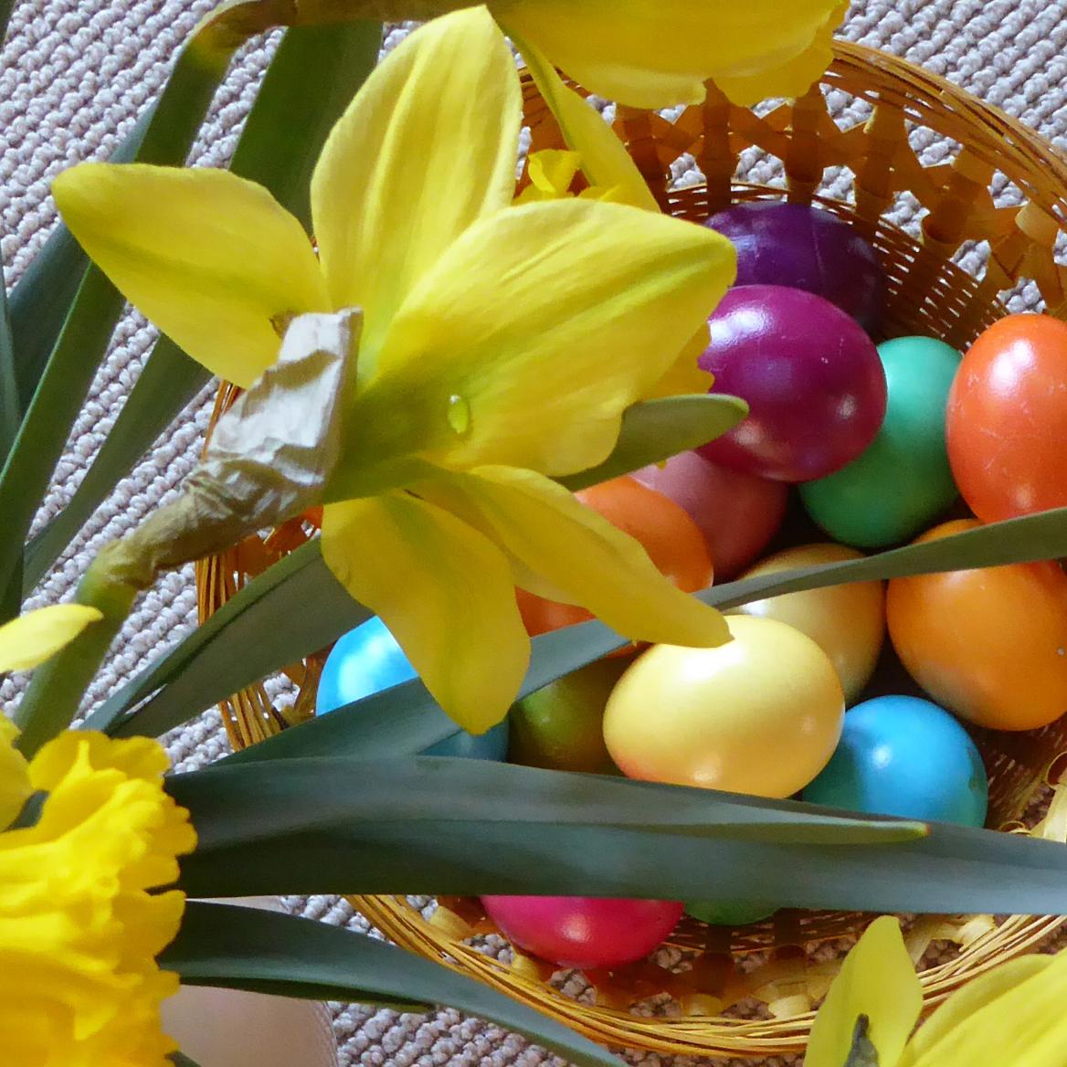 Osterbild Narzissen mit Ostereier