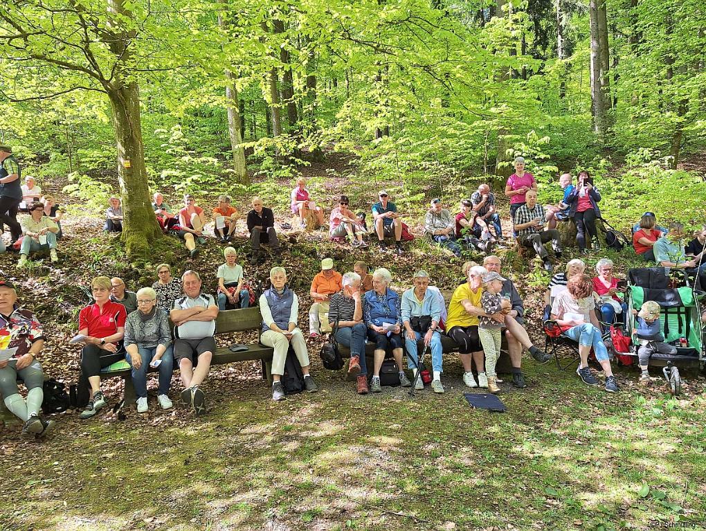Gang zur Waldkapelle