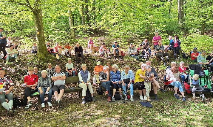 Gang zur Waldkapelle