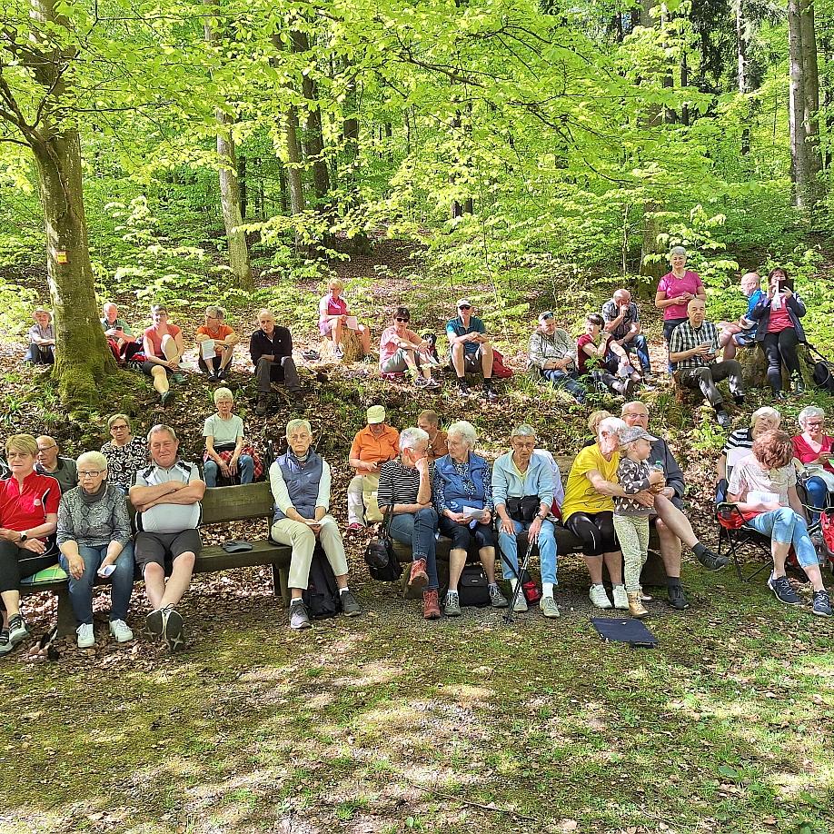 Gang zur Waldkapelle
