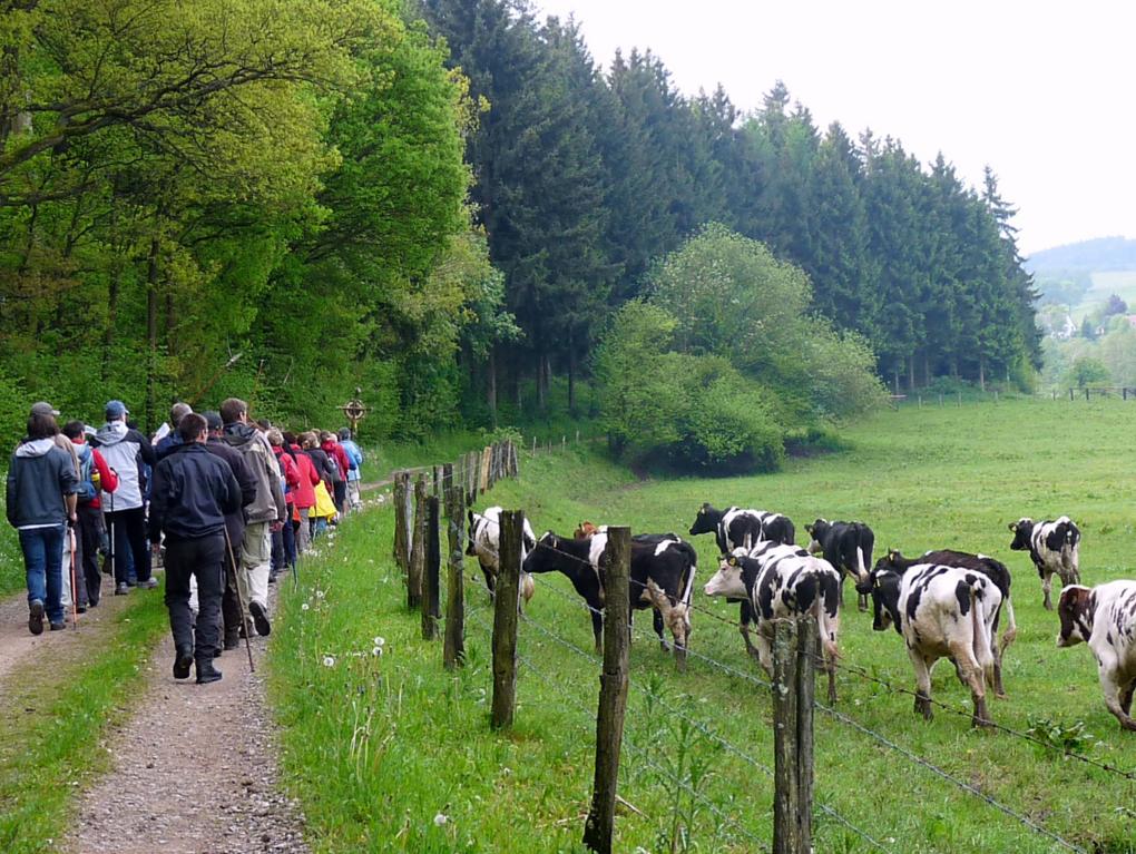 Die T(r)ier-Wallfahrt 4-spurig