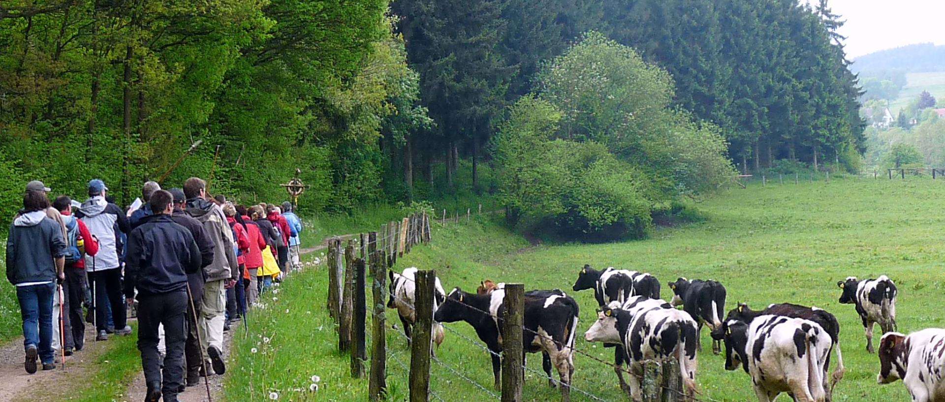 Die T(r)ier-Wallfahrt 4-spurig