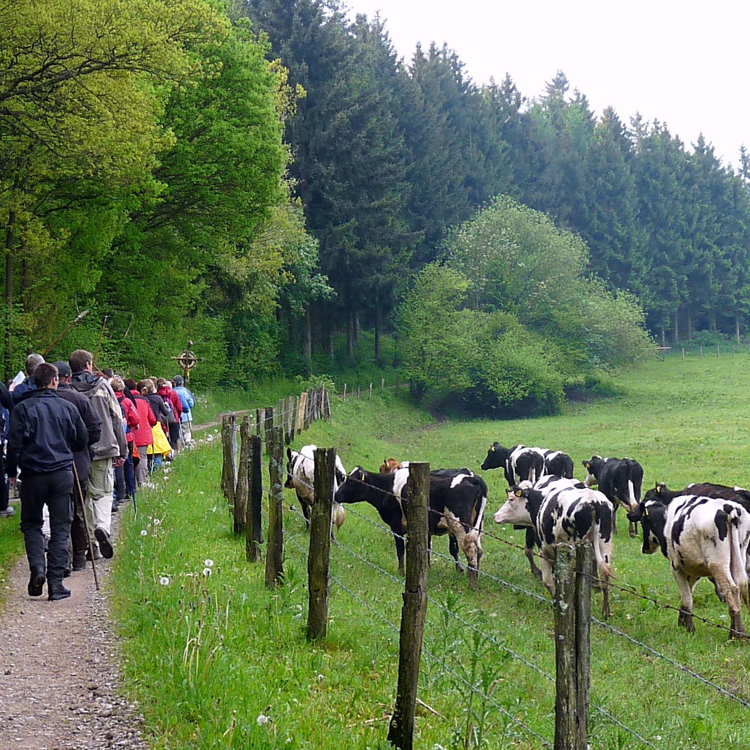 Die T(r)ier-Wallfahrt 4-spurig