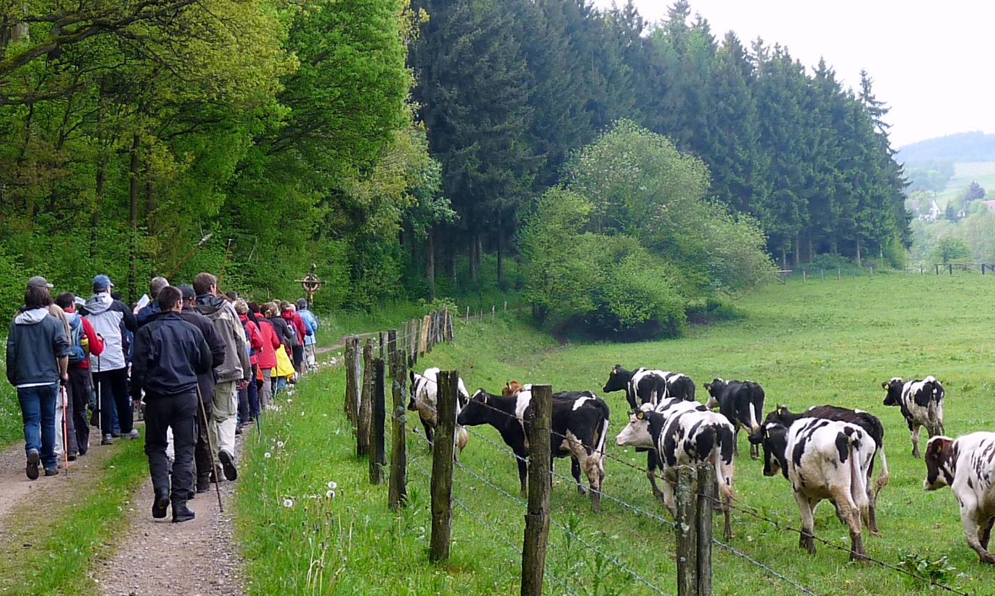 Die T(r)ier-Wallfahrt 4-spurig