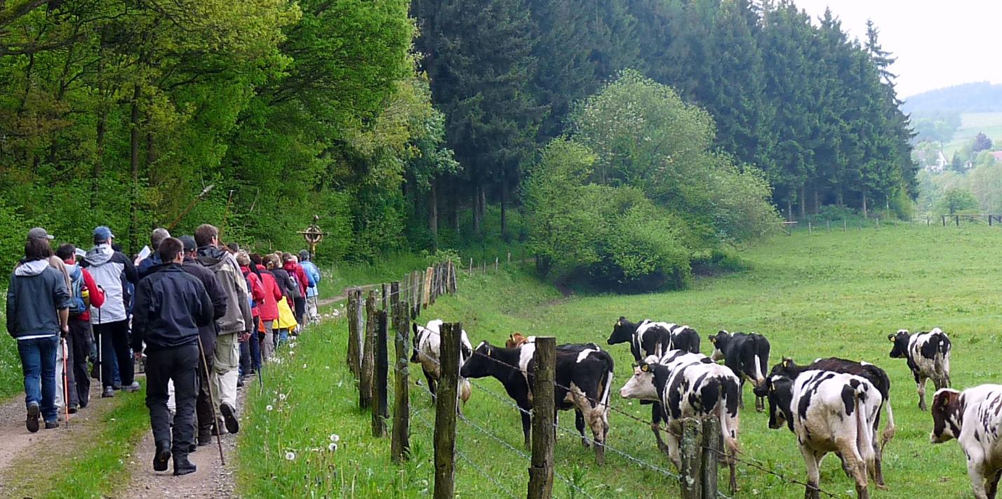 Die T(r)ier-Wallfahrt 4-spurig